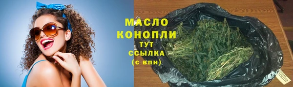 мет Ельня