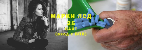 мет Ельня