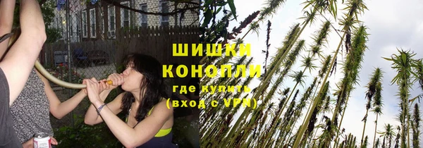 мет Ельня