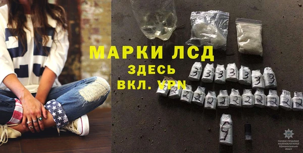 кокс Елизово