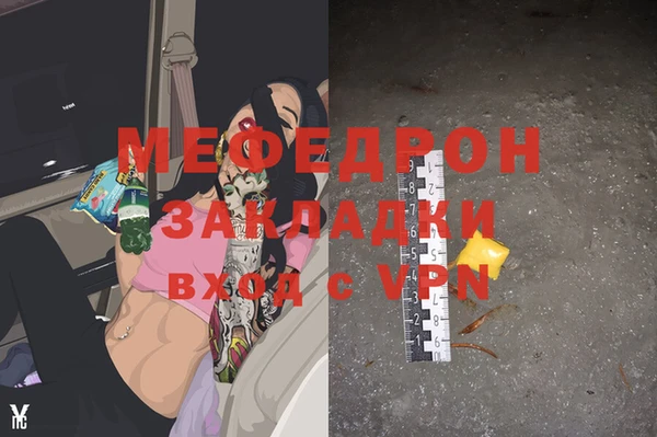 мет Ельня