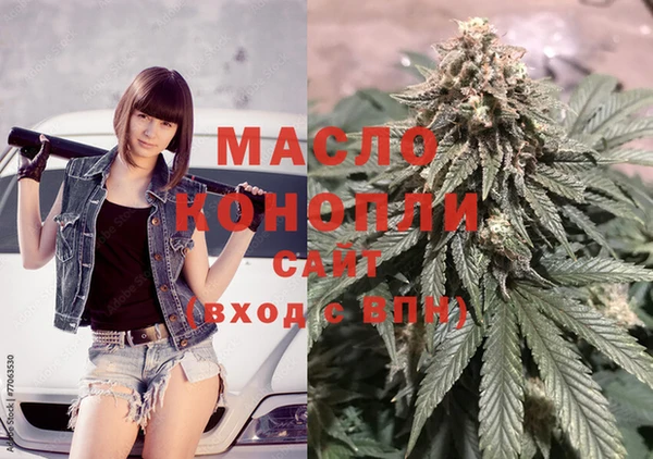 мет Ельня