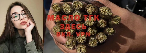 мет Ельня