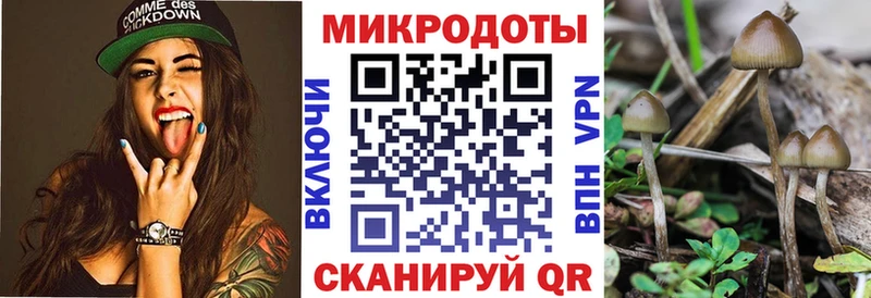 Галлюциногенные грибы мицелий  магазин    Жуков 